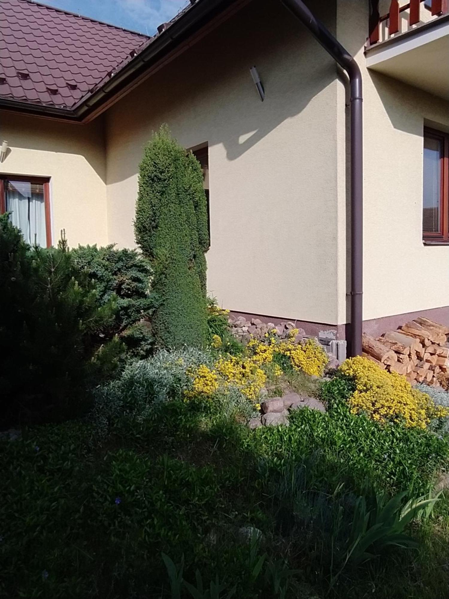 Penzion Tatry Vel'ka Lomnica Habitación foto